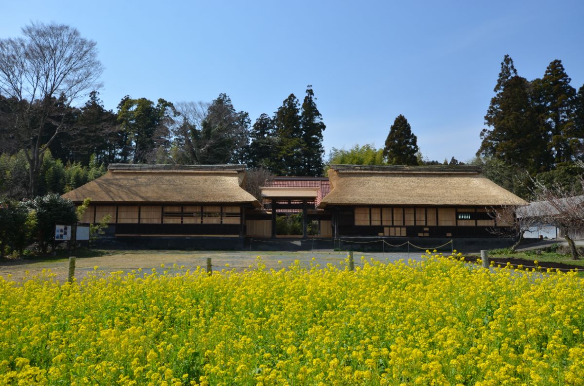 井出家高麗門及び長屋